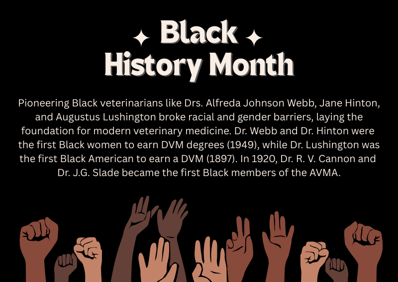 Carousel Slide 1: Black History Month