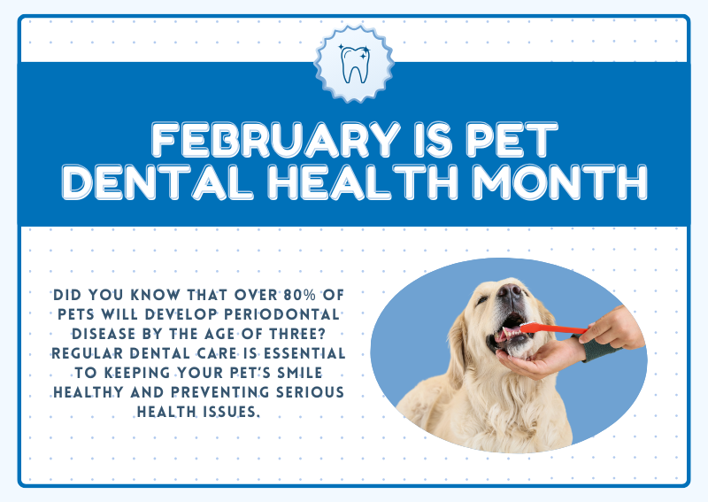 Carousel Slide 1: Dental Health Month