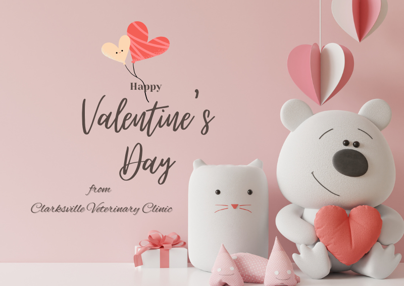 Carousel Slide 2: Valentine's Day